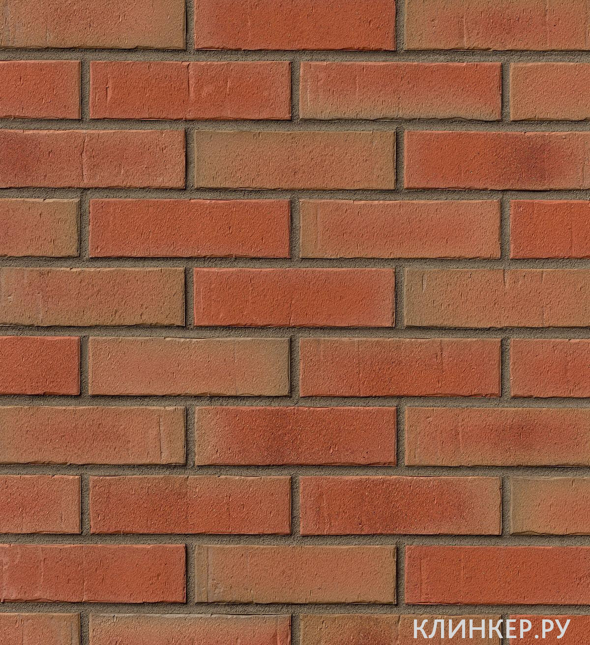 marseille-rot-bunt_1