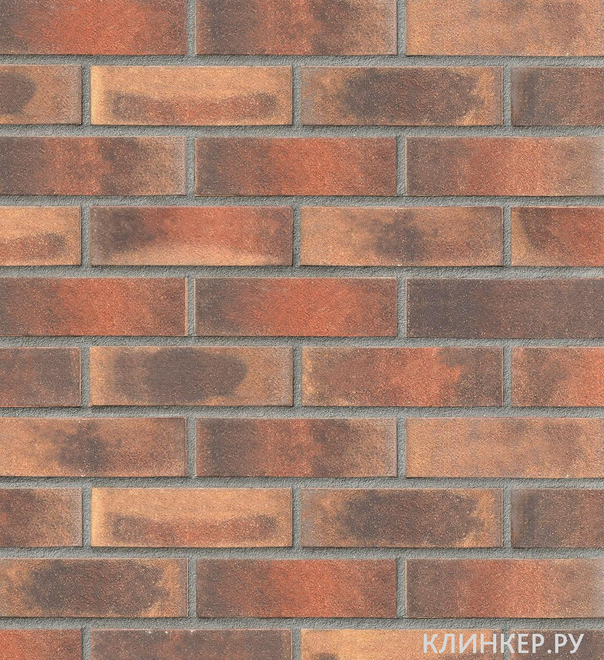 toulouse-rot-bunt-carbon_1