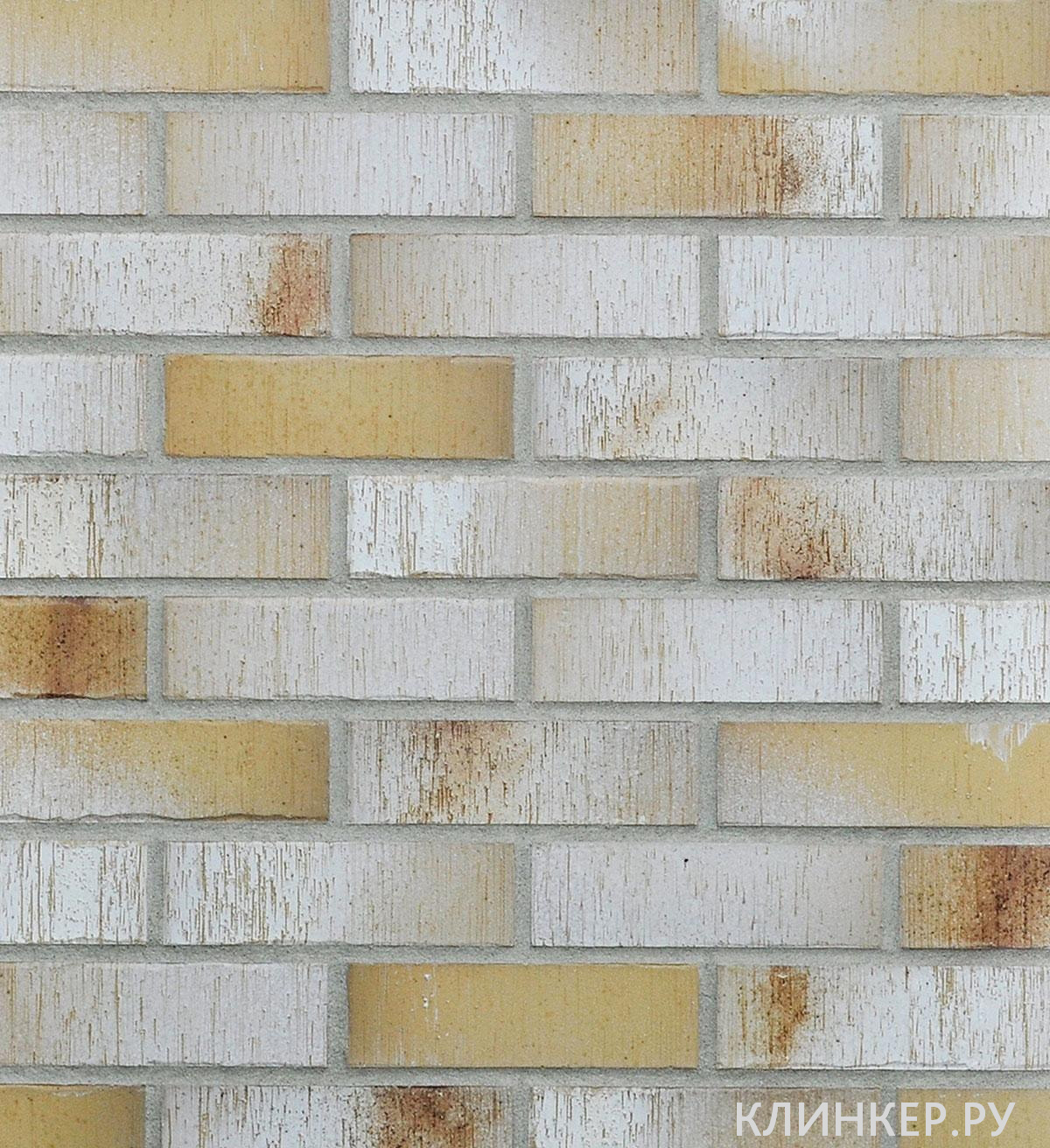 bordeaux-gelb-bunt-carbon_1