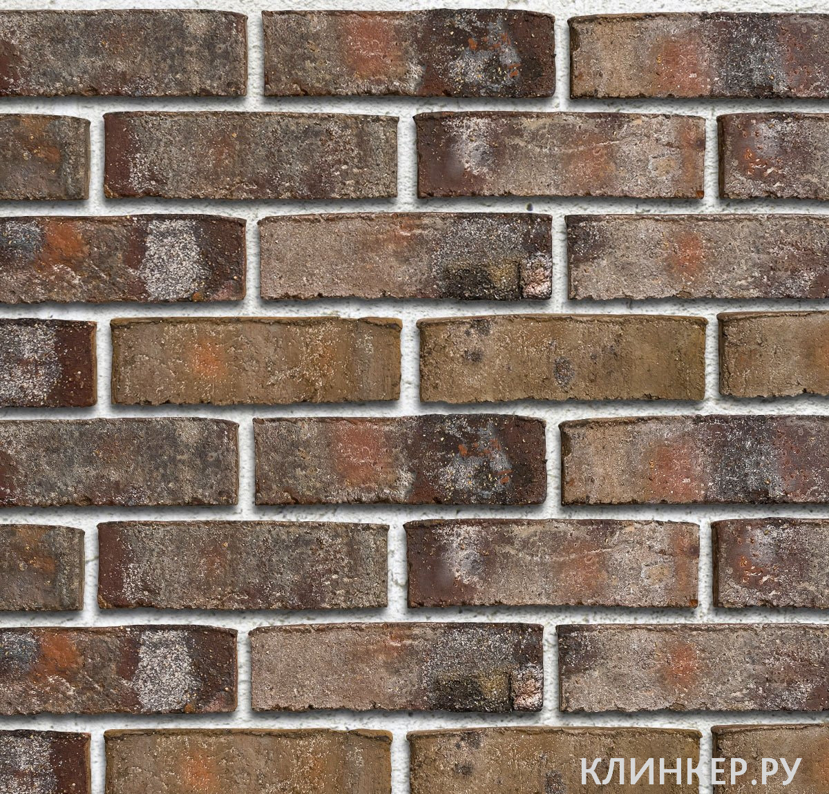 wiesmoor-kohle-bunt_21