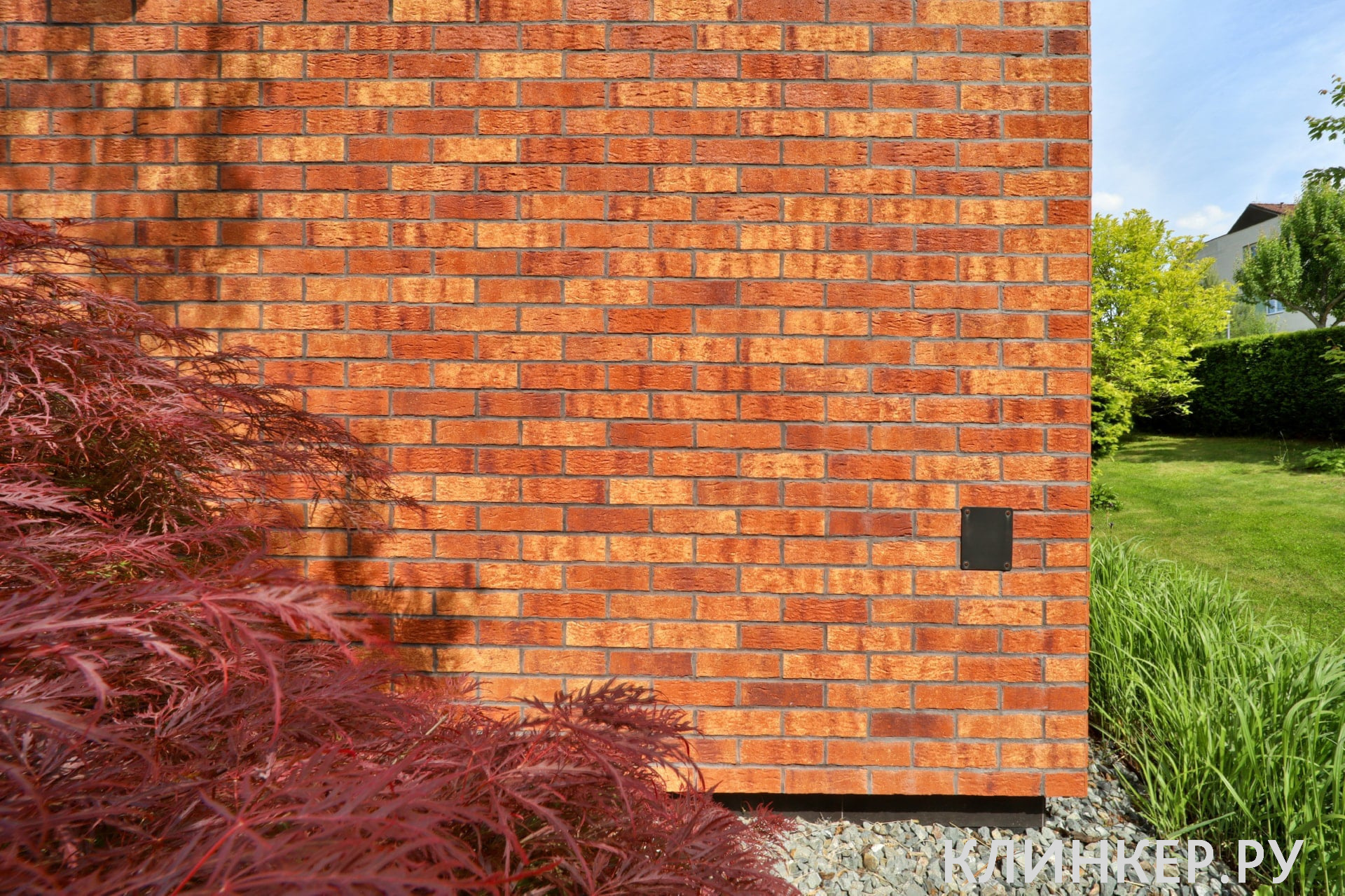 hf10-purple-rain-nf14-nvf_2