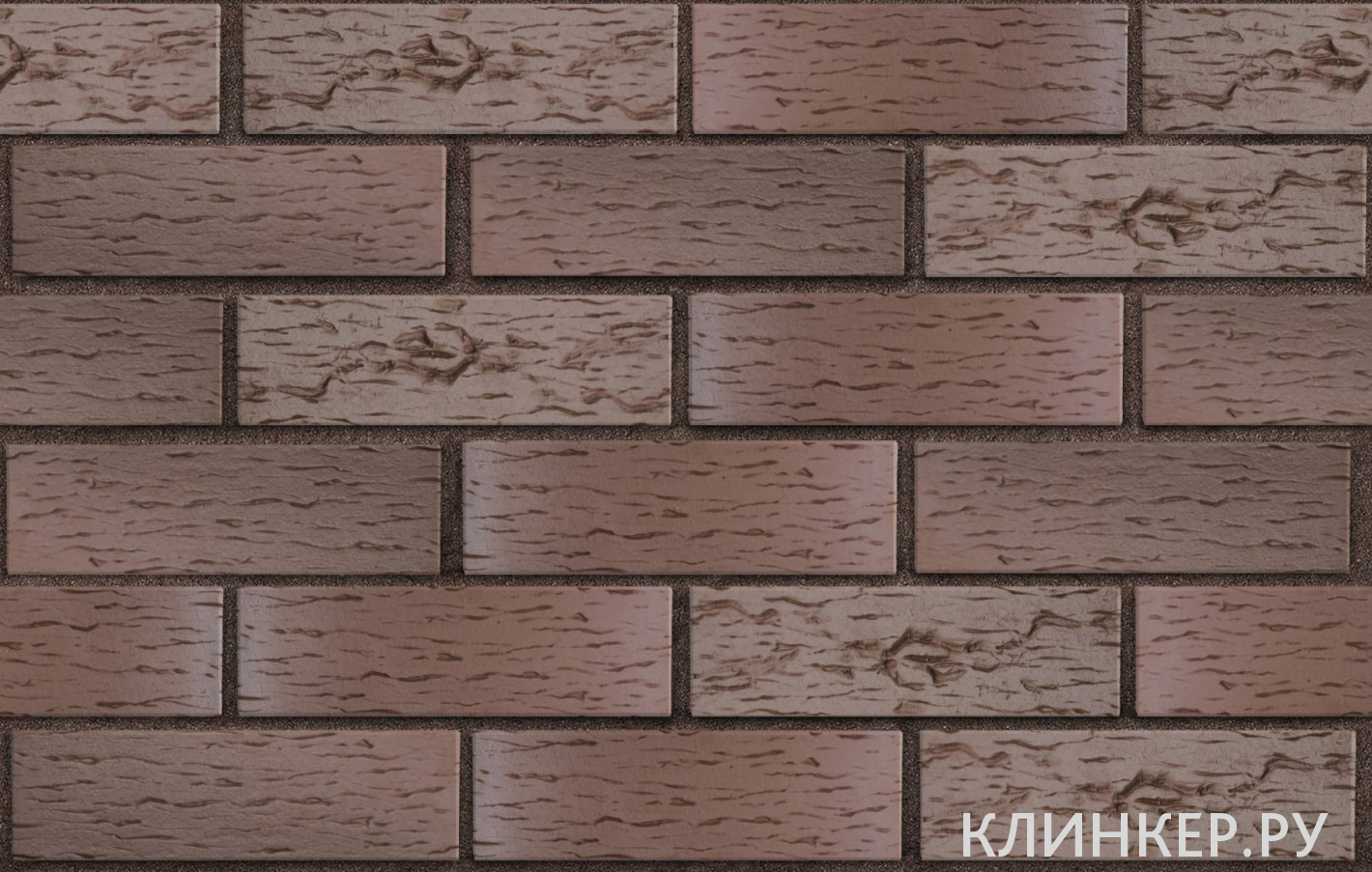 bryugge-tyomno-terrakotovij-flesh-beresta_3