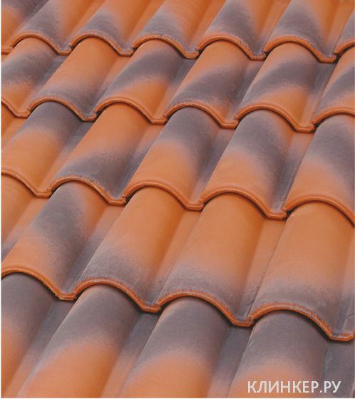 1teja-mixta-11-expositor-extremenna