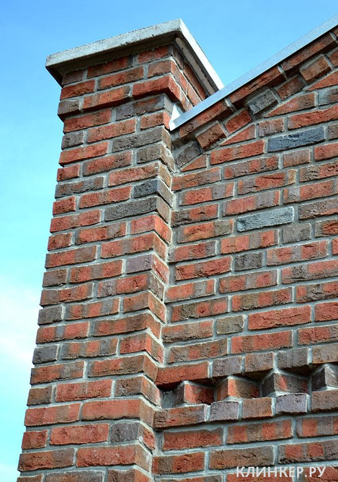 wasserstrich-buntgeflammt_13