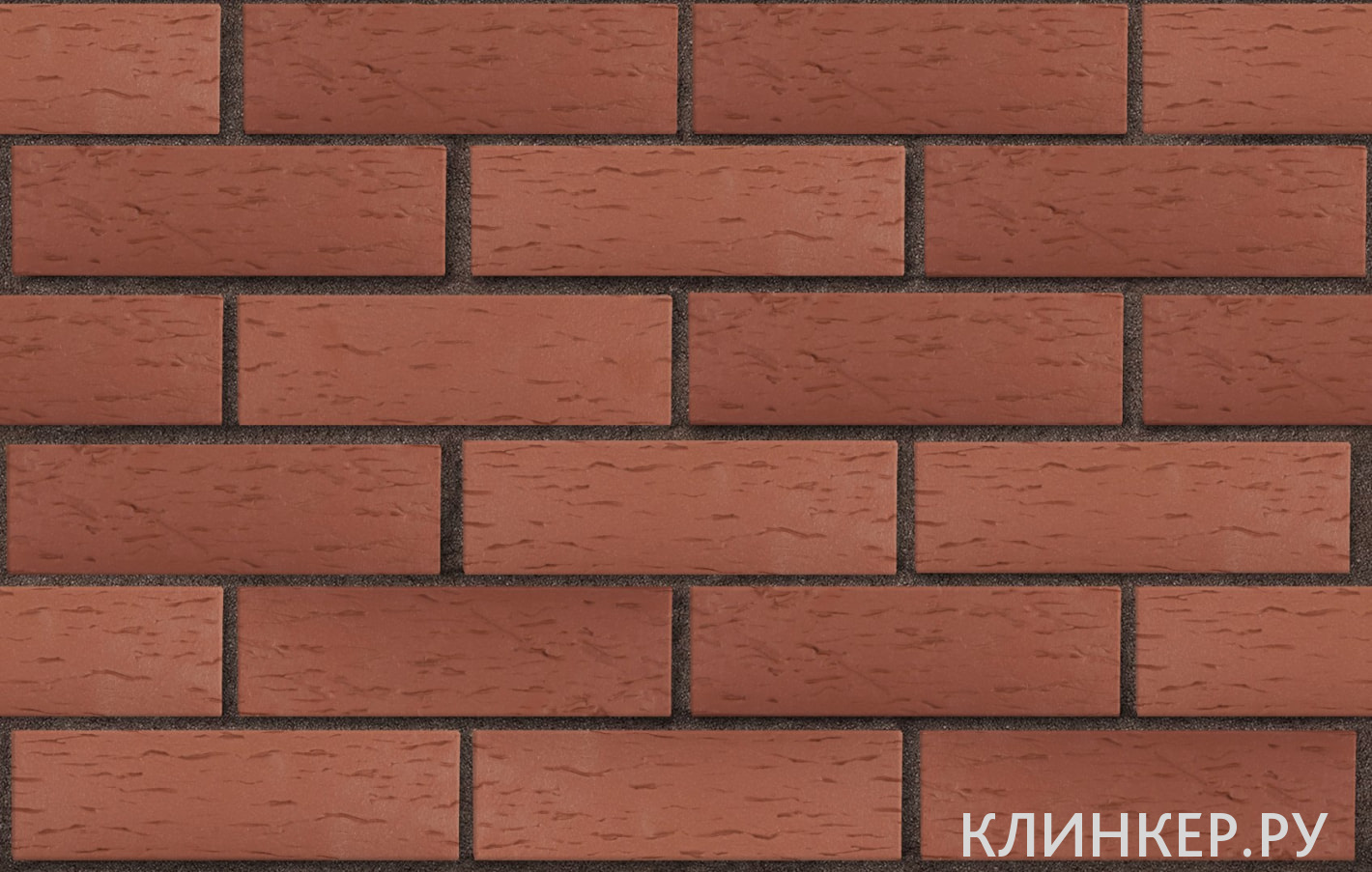 edinburg-tyomno-krasnij-beresta_3