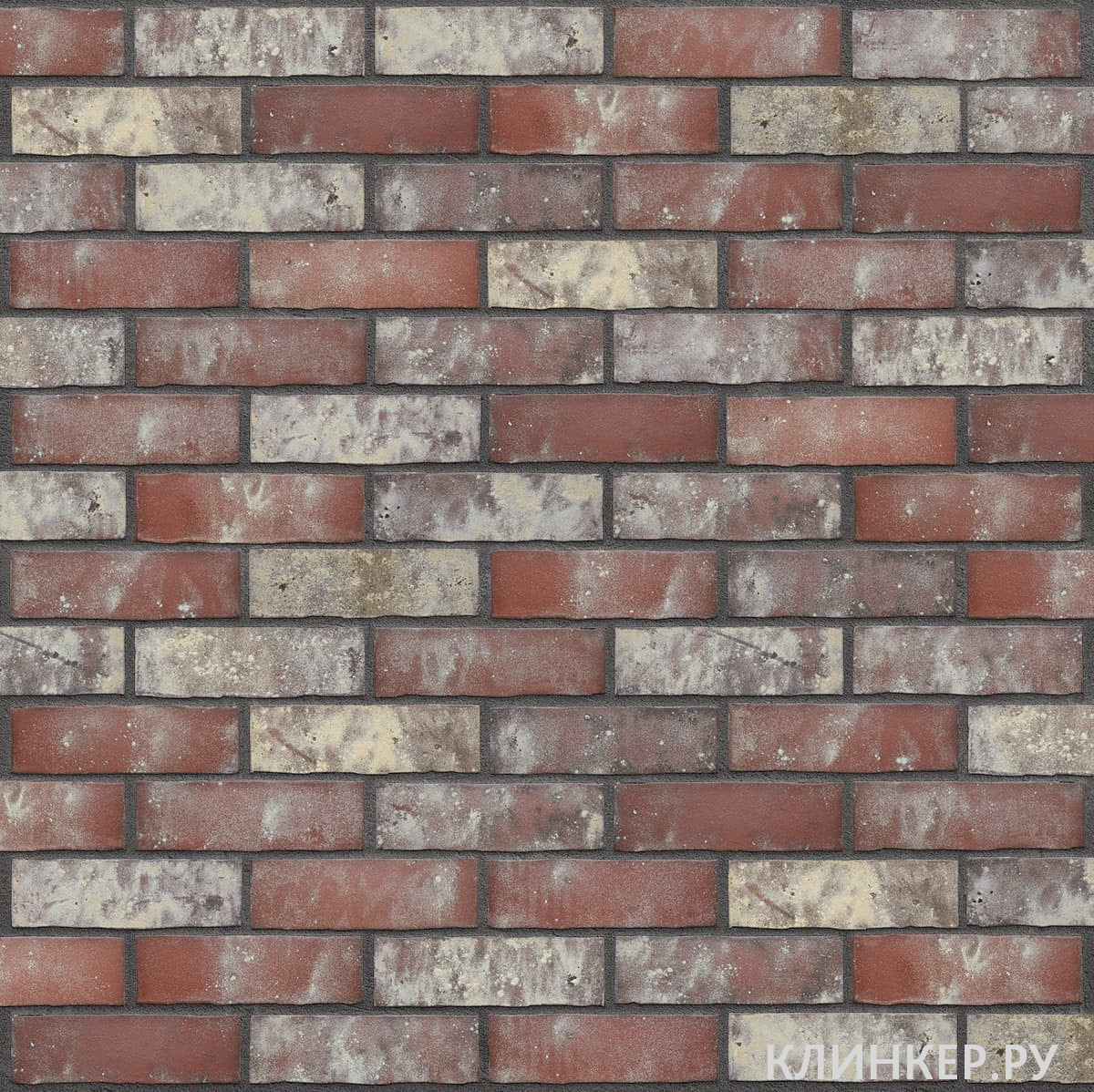 plitka-hf42-templarian-treasure-nf10_3