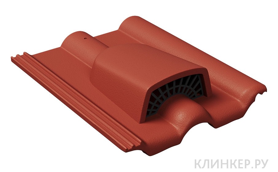 ventilyacionnaya-cherepica-braas-vishnya-frankfurt_1