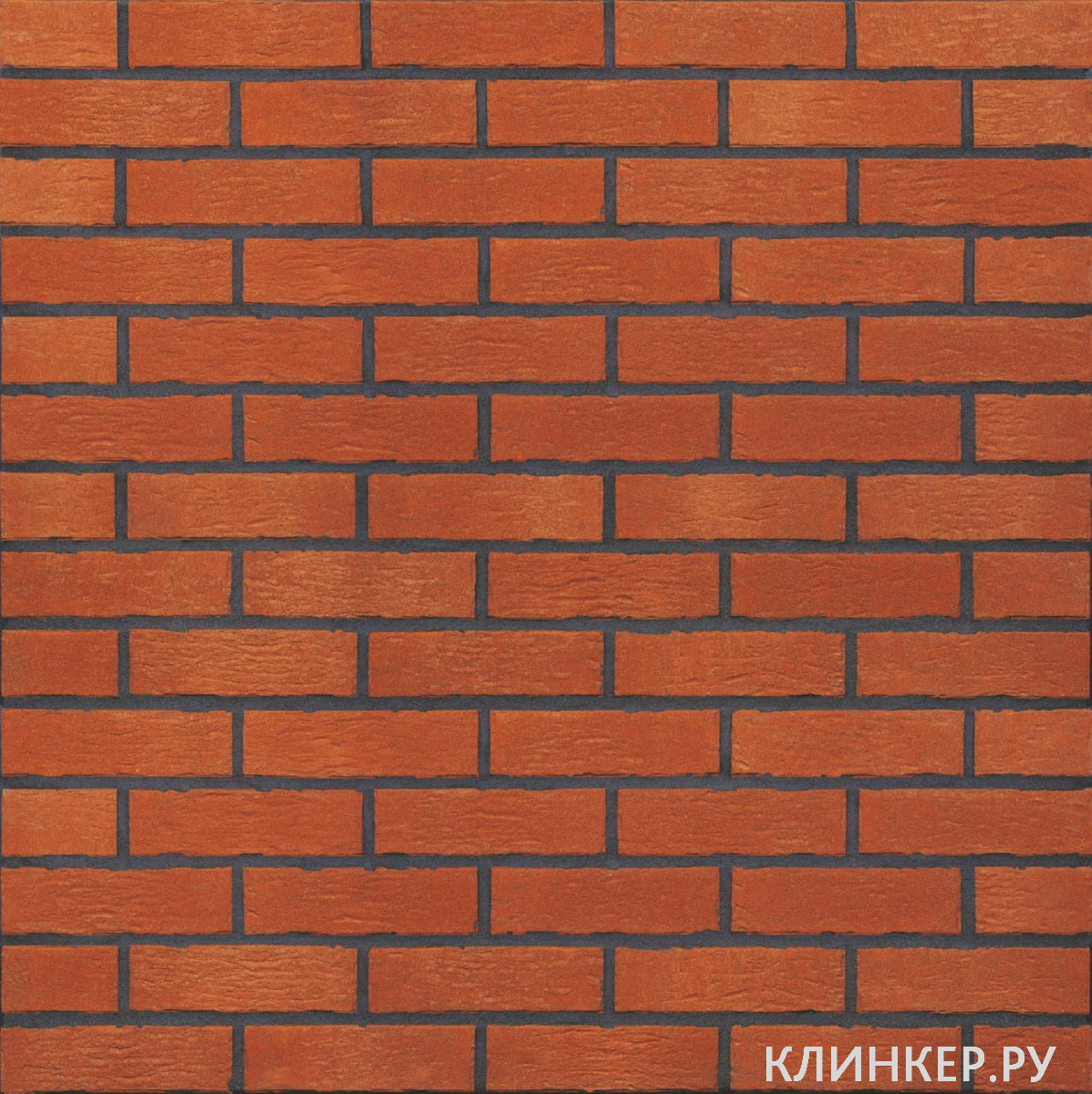 hf01-marrakesh-dust-nf14-nvf_4