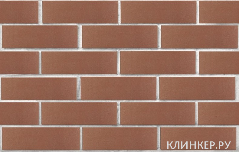 korichnevij-gladkij-M175-RKZ_5