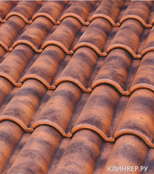 1teja-mixta-11-expositor-rojaenvejecida