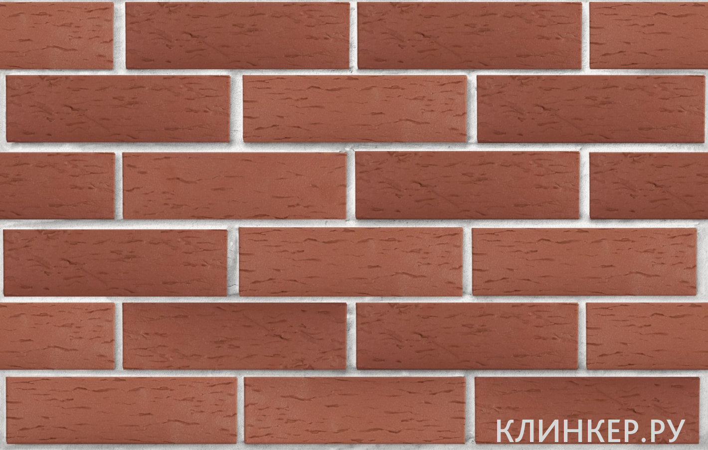 edinburg-tyomno-krasnij-beresta_2