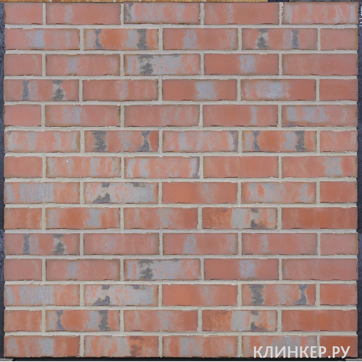 hf37-wall-street-nf14-nvf_5