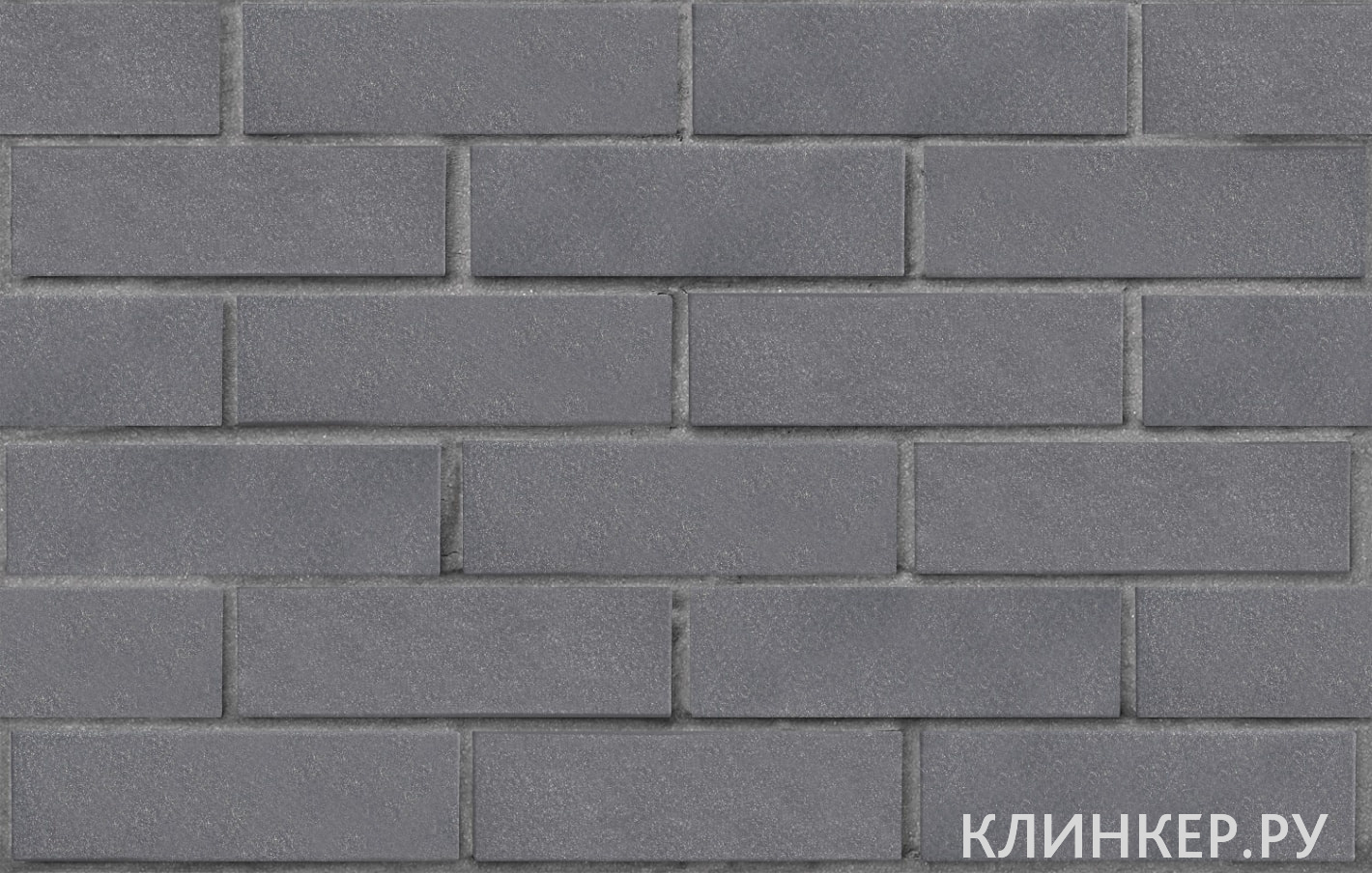 elfyus-serebristij-gladkaya_1