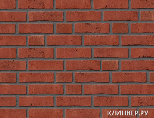 rot-premium_16