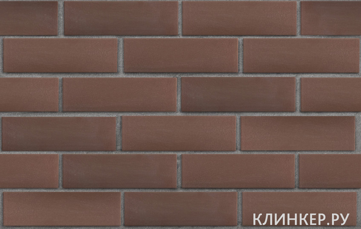 myunhen-korichnevij-gladkaya_1