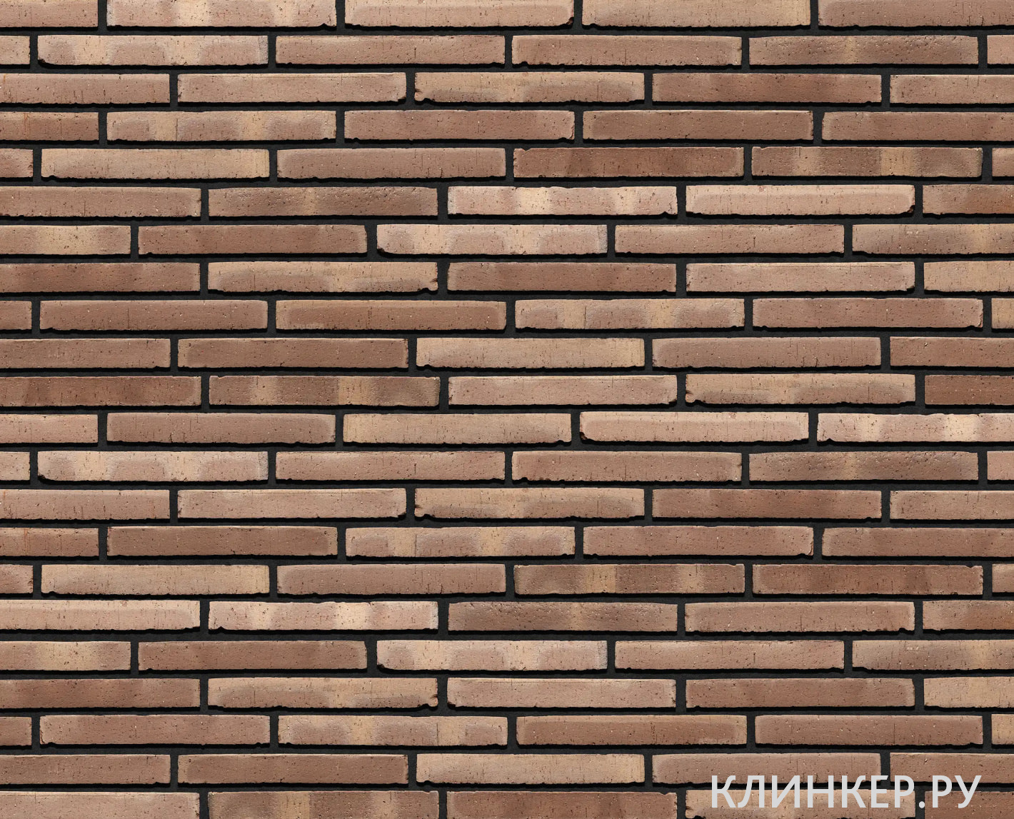 vesteros-renessans-1_1