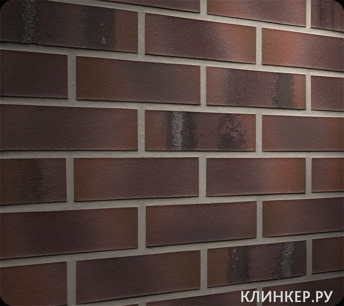 k561nf_2