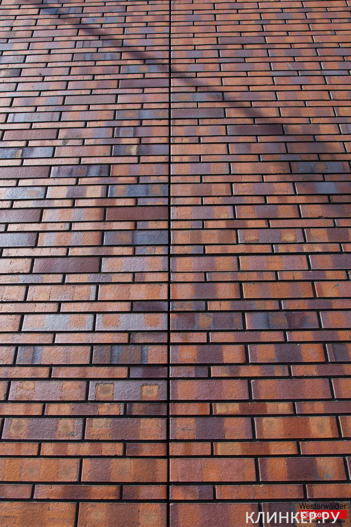 WK84S-Rotbraun-bunt-Spezial-4