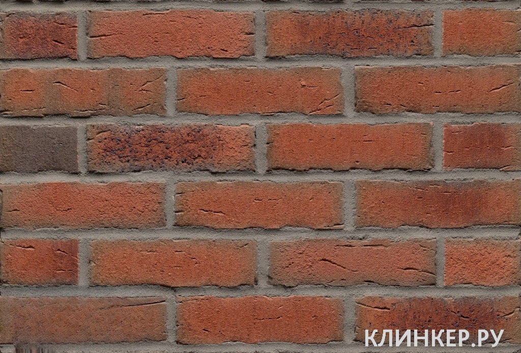 r698nf_5
