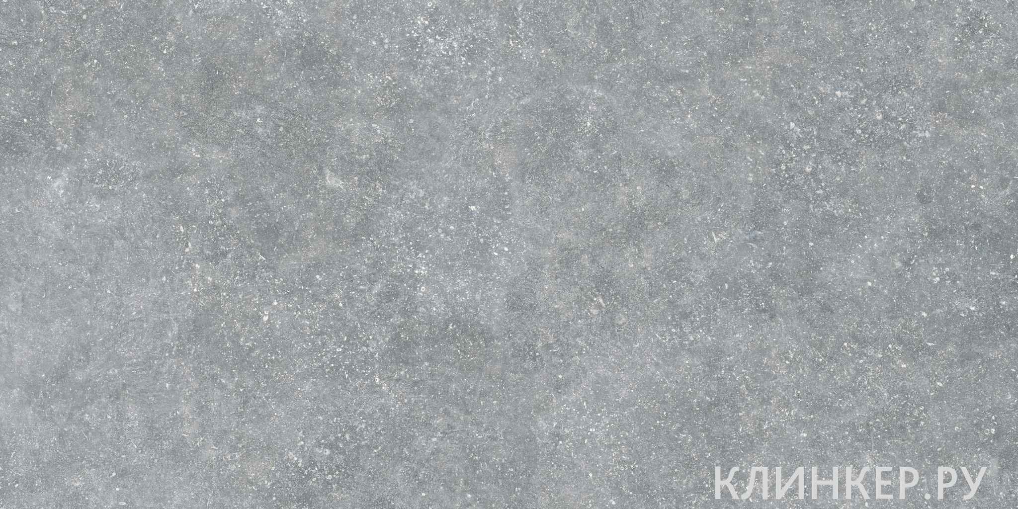 ARDENAS_GRIS_60X120_A
