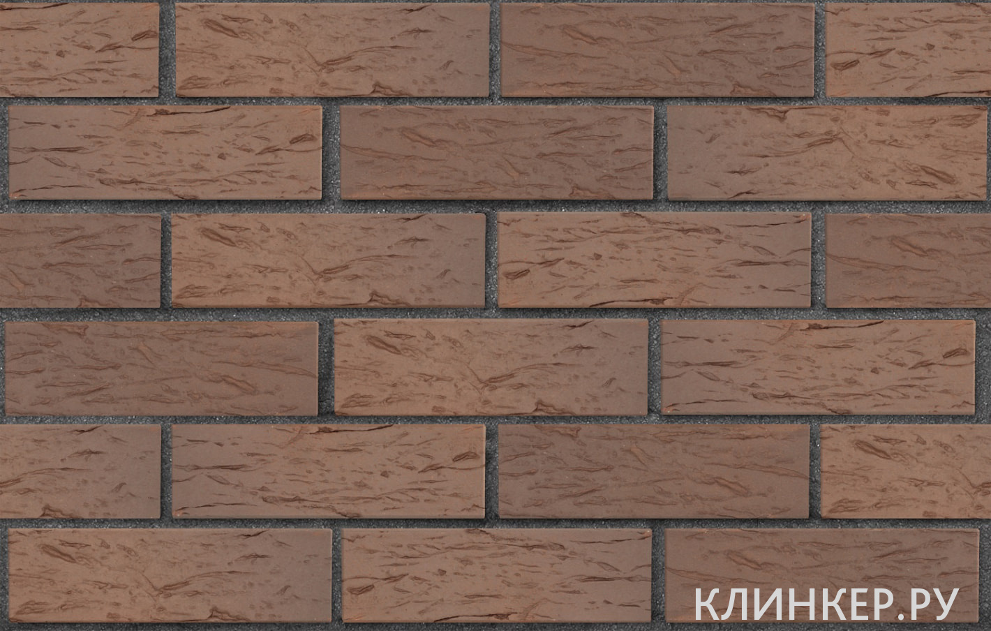 praga-svetlo-korichnevij-flesh-beresta_3