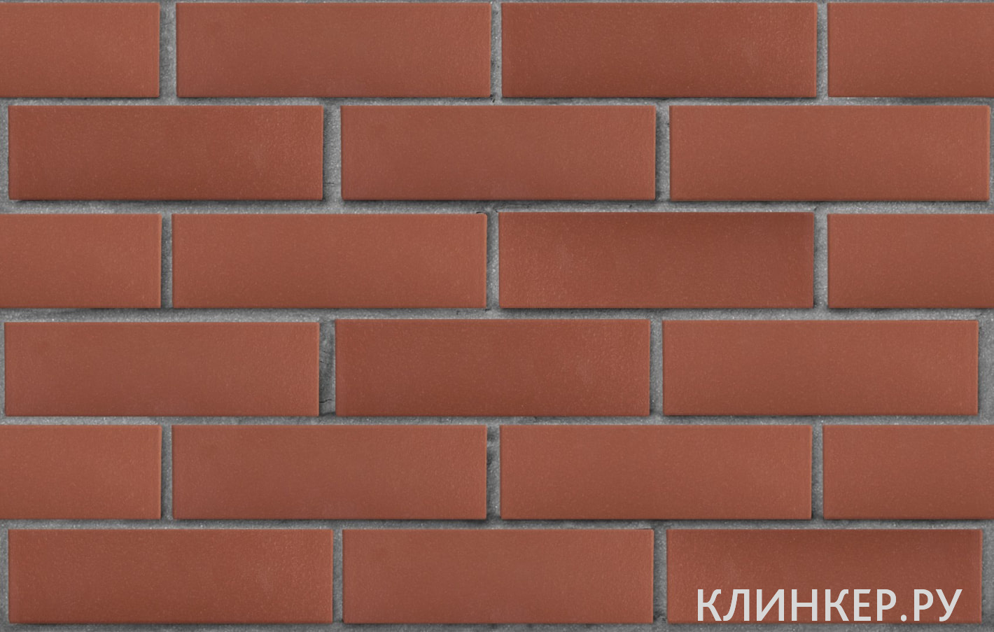 edinburg-tyomno-krasnij-gladkaya_1