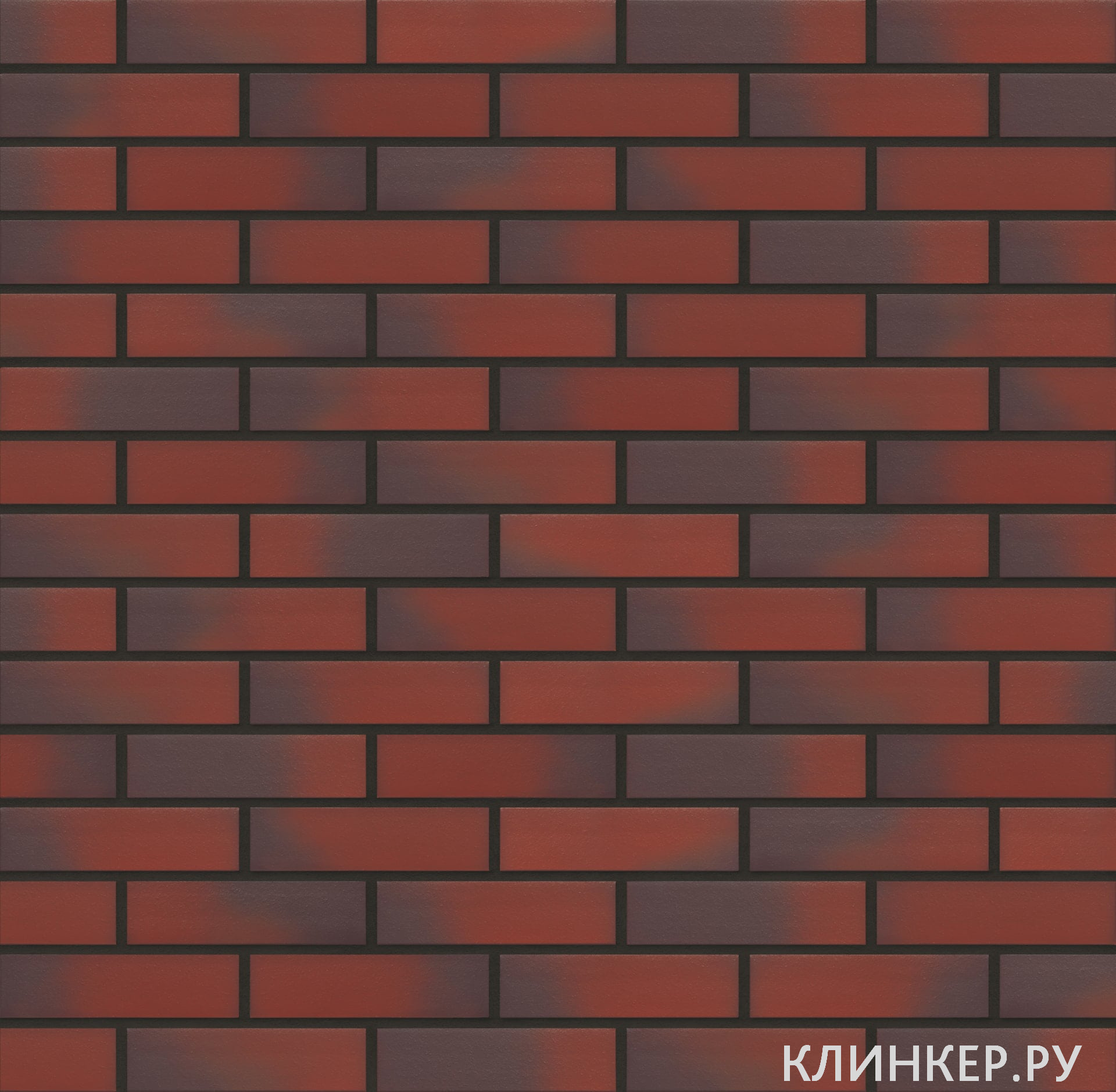 plitka-04-wild-wine-nf10_6