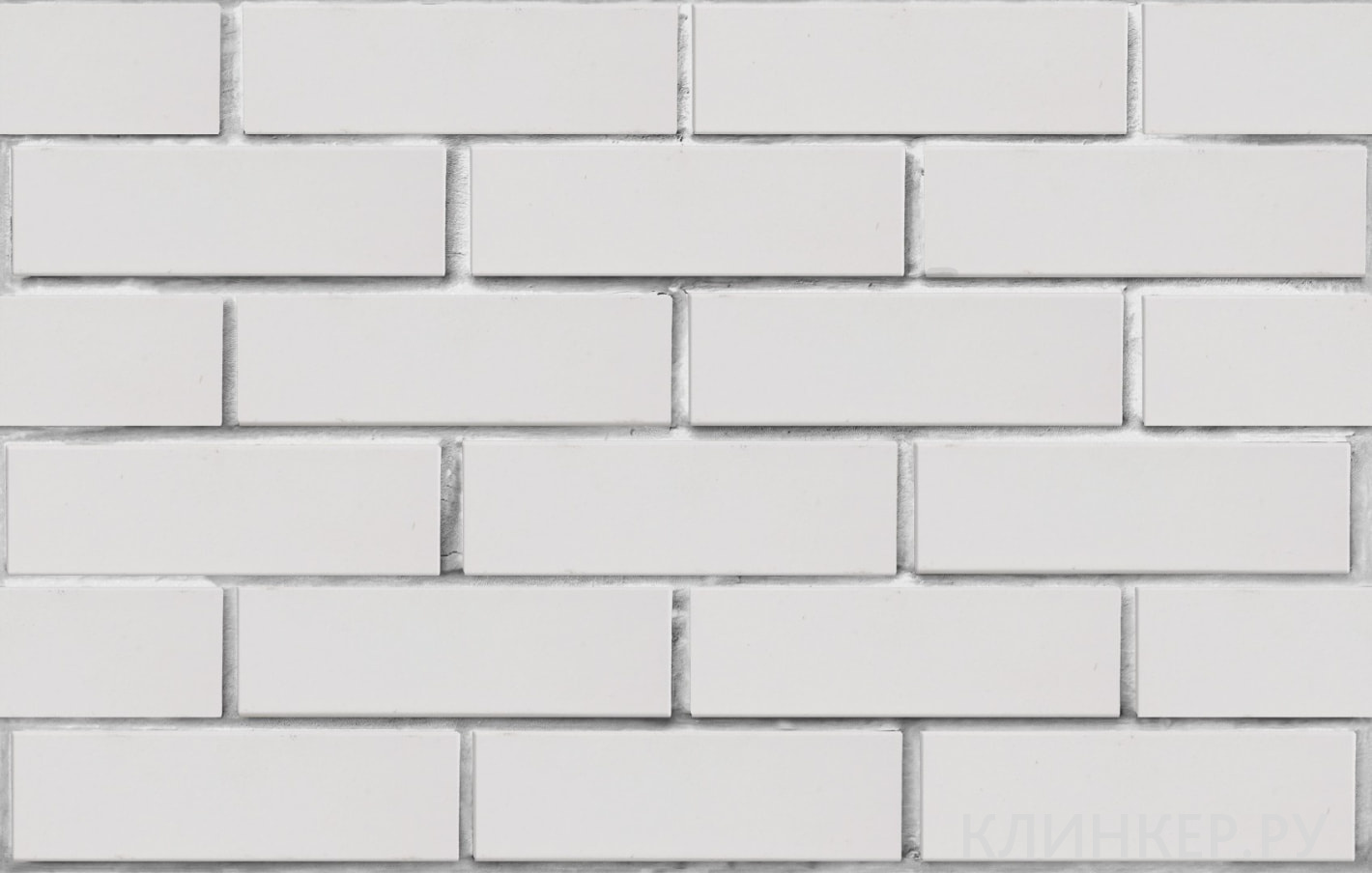 vernamo-belij-gladkaya_2