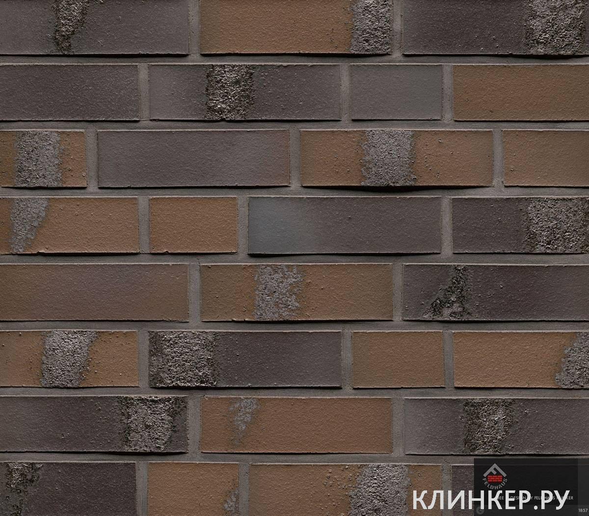 k564nf_3