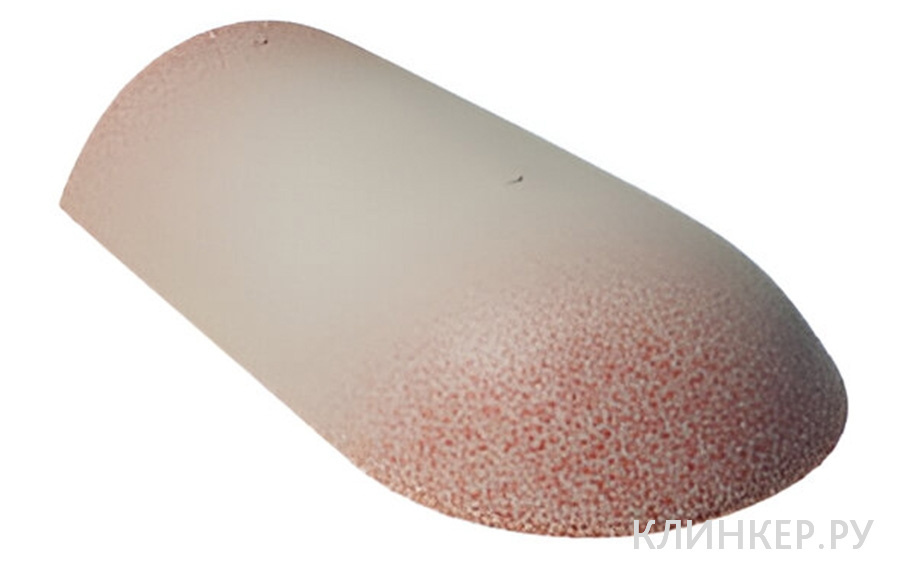 nachalnaya-hrebtovaya-cherepica-braas-taunus-dyuna_1