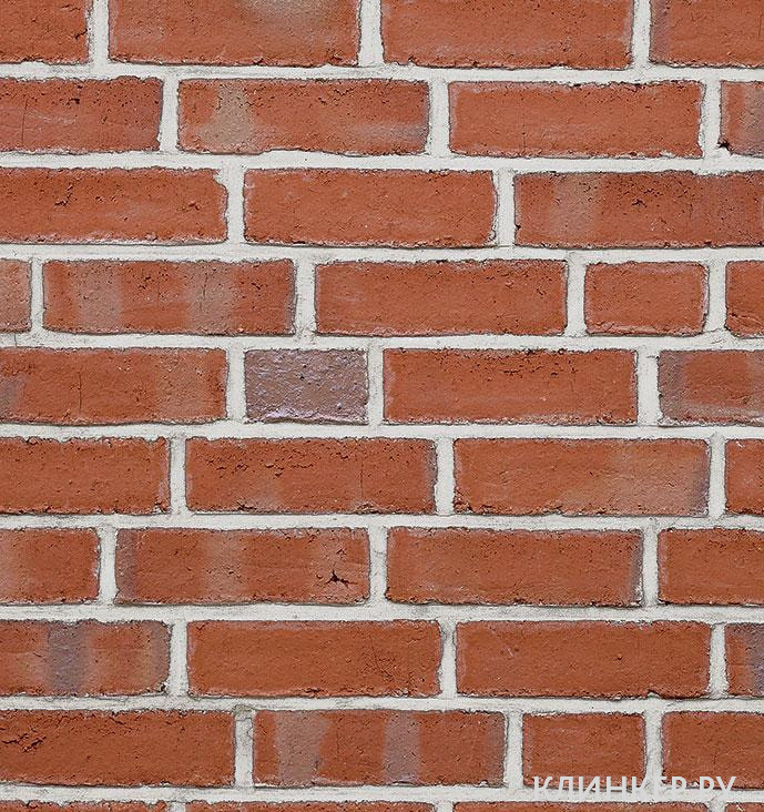 wiesmoor-hellrot-bunt_1