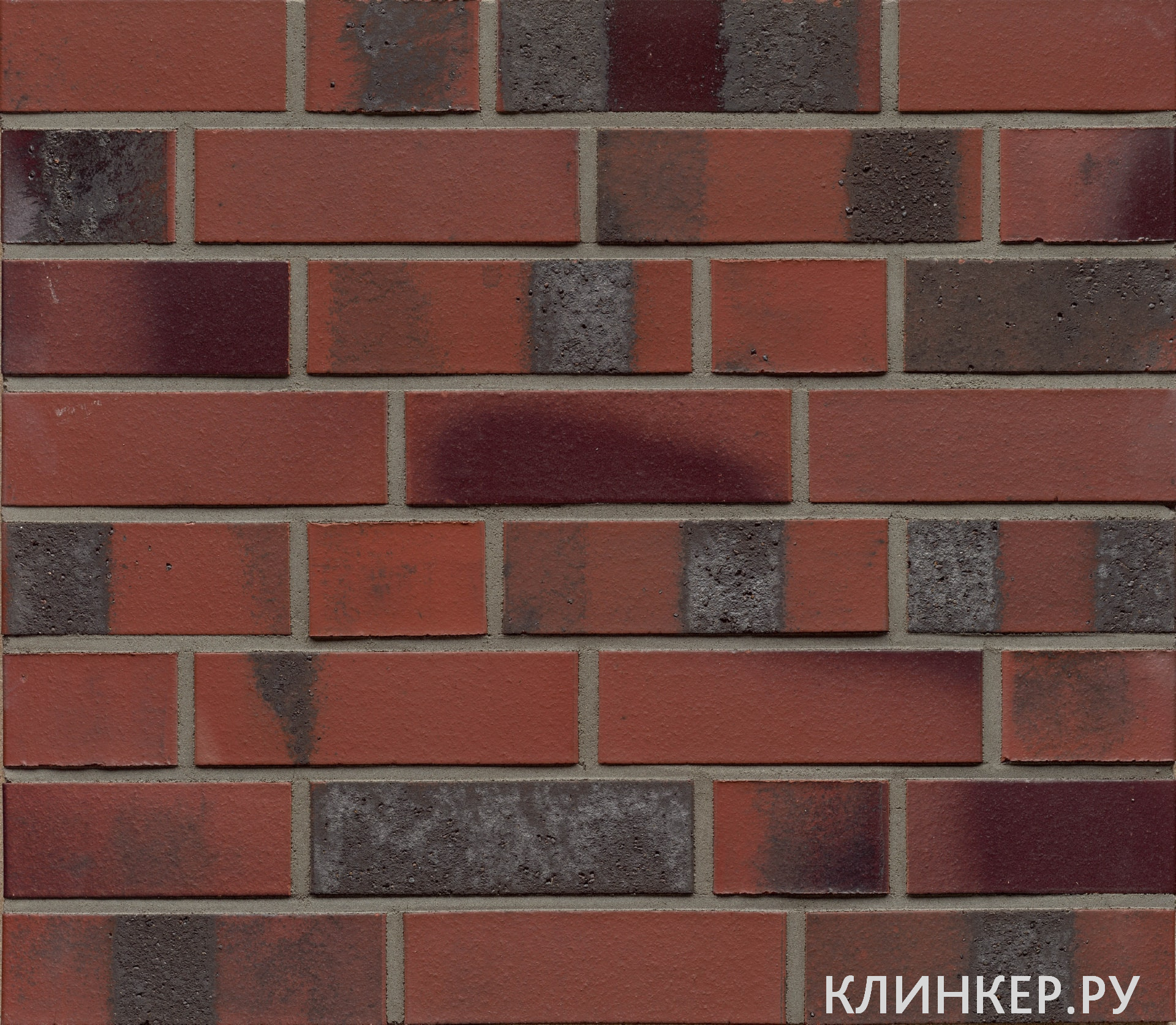 k575nf_2