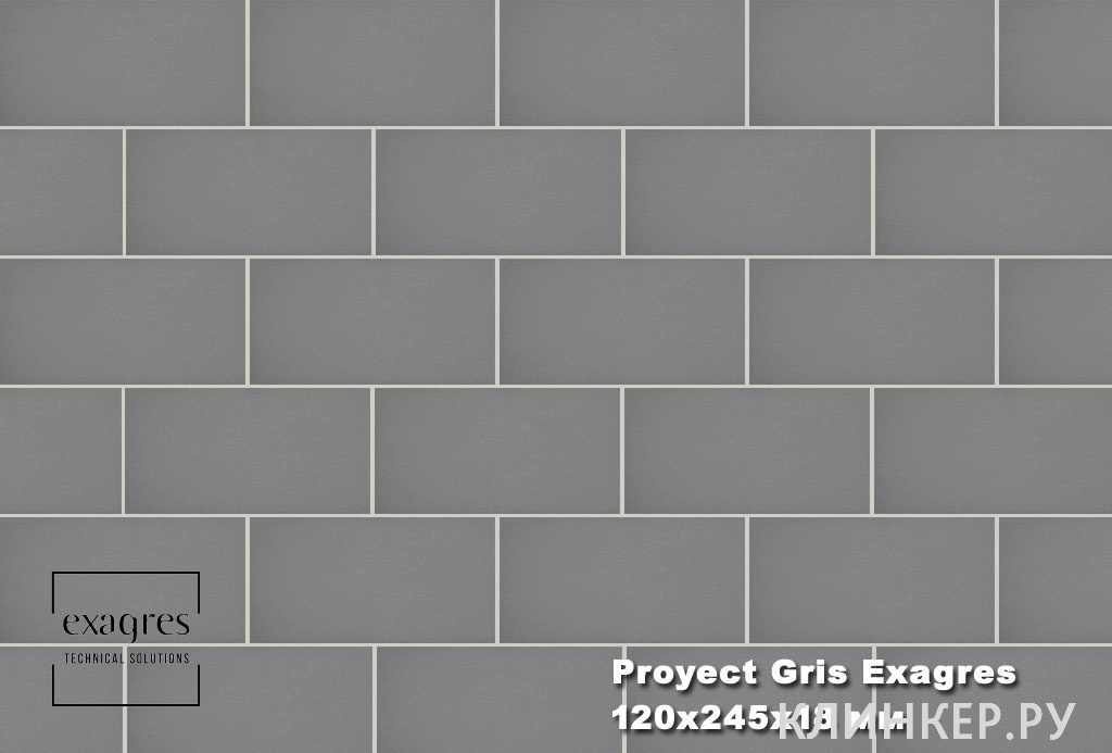 Proyect Gris Exagres 2