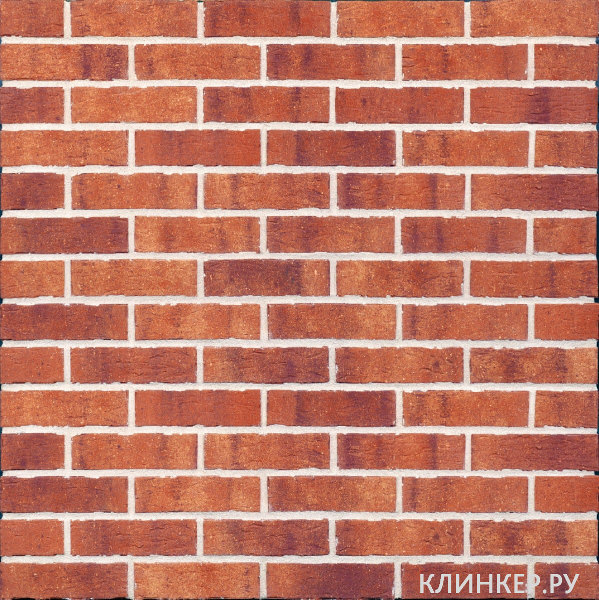 hf10-purple-rain-nf14-nvf_4