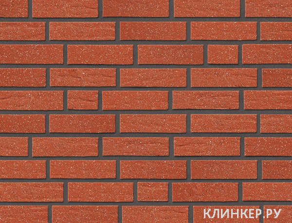 rubinrot-borke-s-obsipkoj-peskom_15