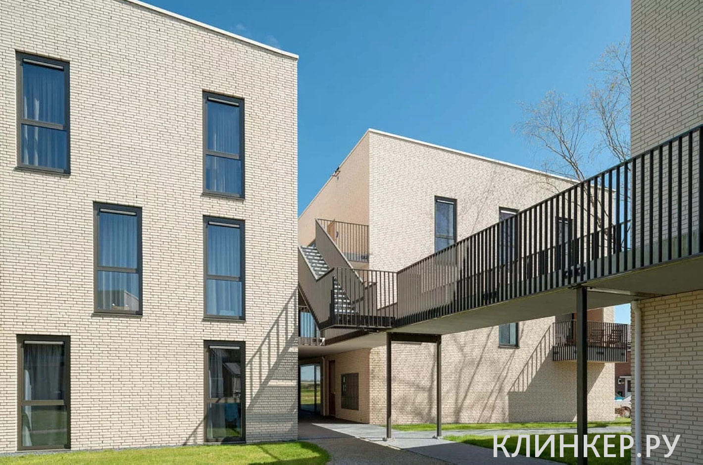 rodruza-super-white_2