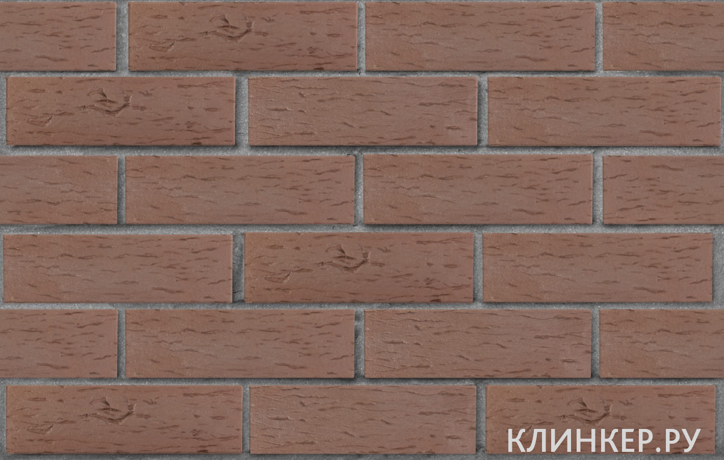 myunhen-korichnevij-beresta_1