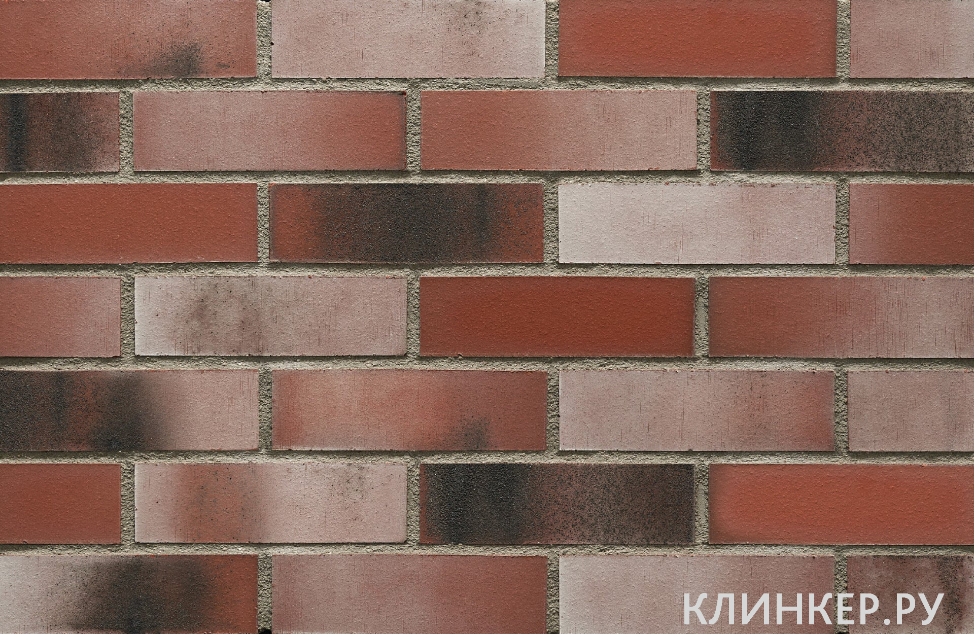 plitka-hf79-supernova-nf10_2