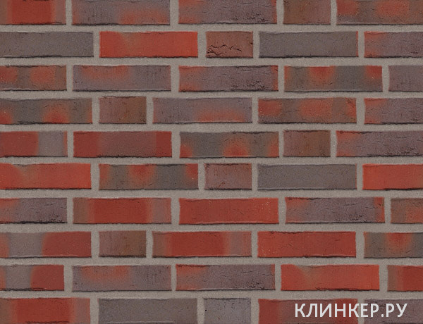 rot-blau-bunt-deluxe_11