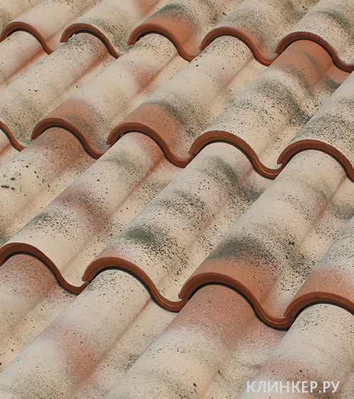 teja-mixta-10-expositor-baltica-497x560-72ppp