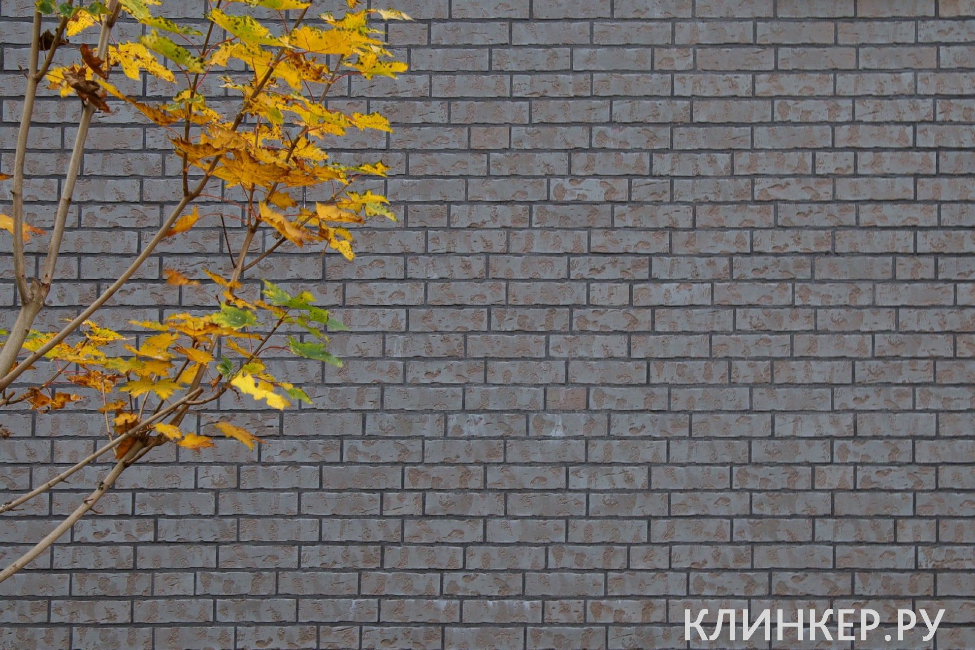 hf22-frozen-island-nf14-nvf_4