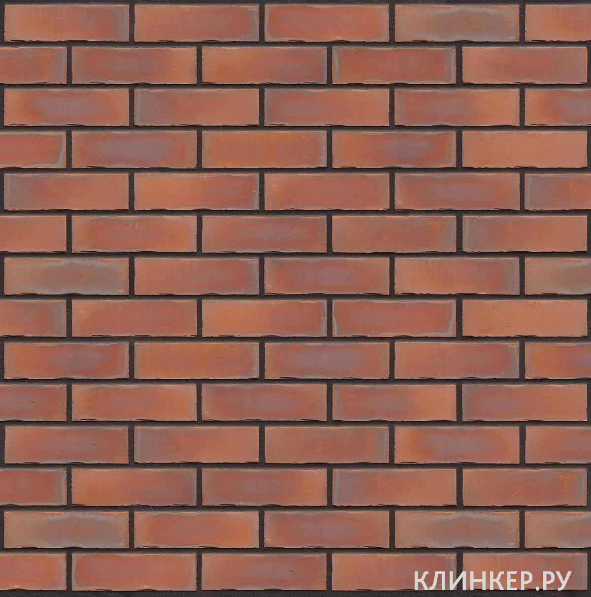 hf41-gothic-smile-nf14-nvf_10