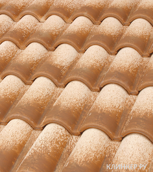 teja-mixta-11-expositor-numancia