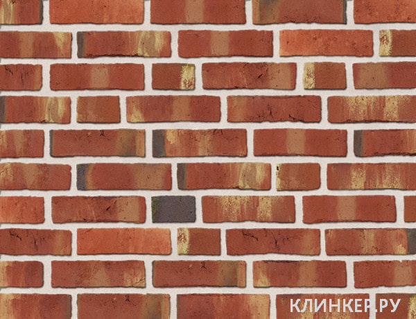 toscanagelb-premium_22