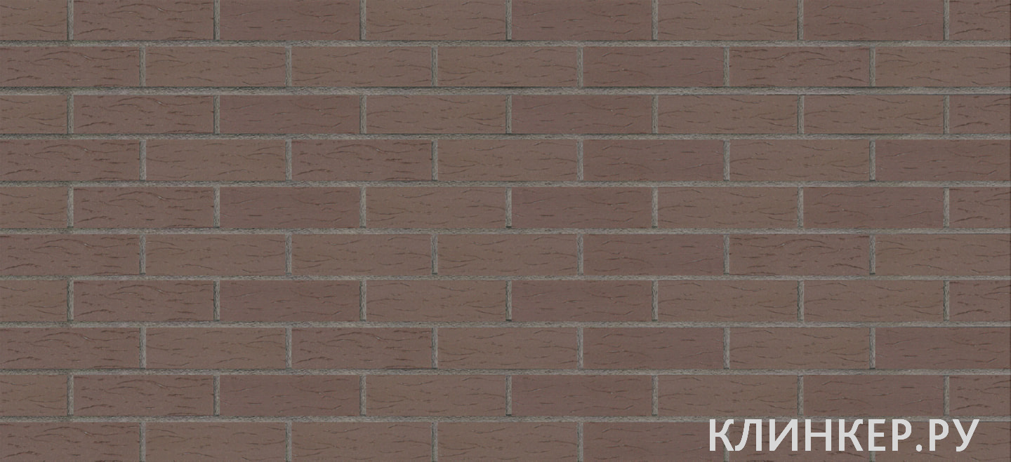 koro-brown-2201_2