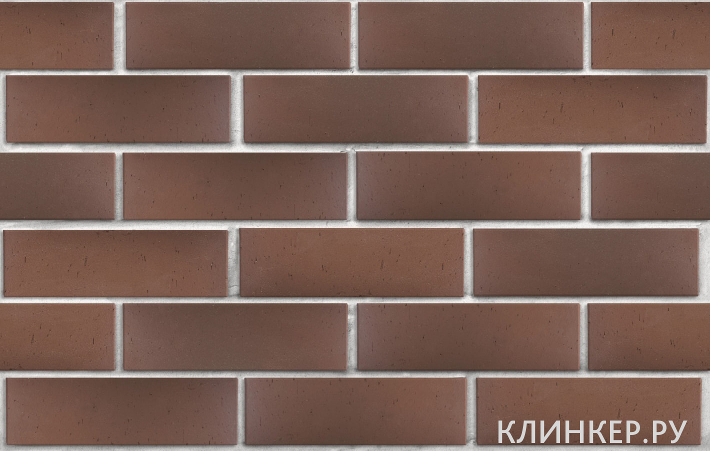 antverpen-tyomno-terrakotovij-flesh-vintazh_2