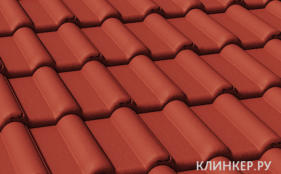 cherepica-braas-frankfurt-vishnya_1