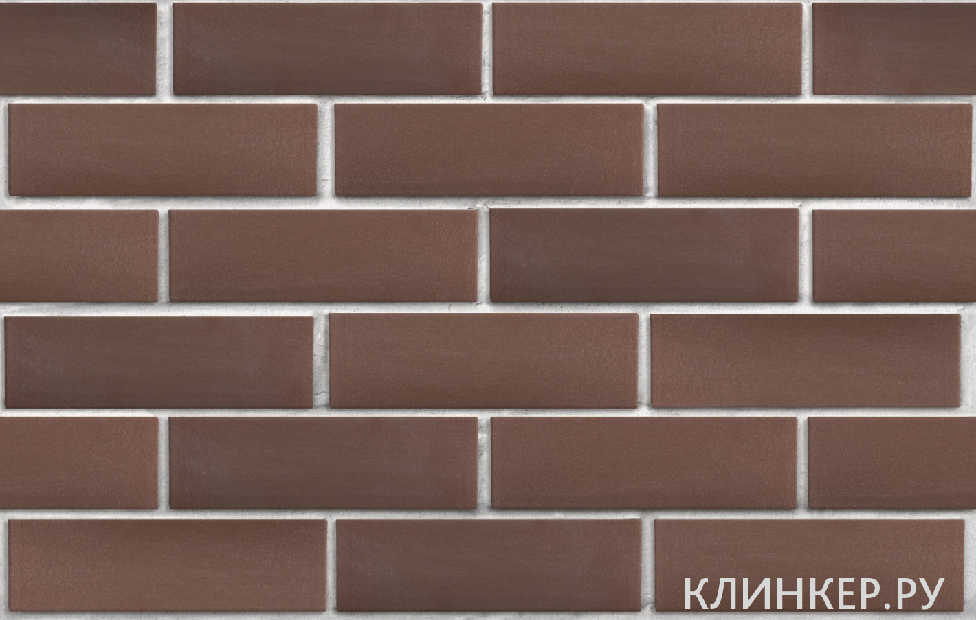 myunhen-korichnevij-gladkaya_2