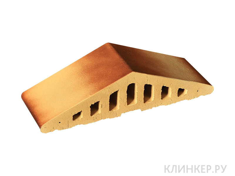 prof-pustinnaya-roza-ton-11