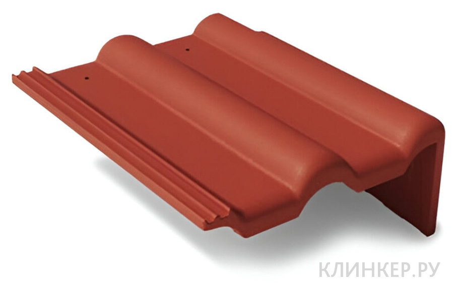 bokovaya-pravaya-cherepica-braas-frankfurt-vishnya_1